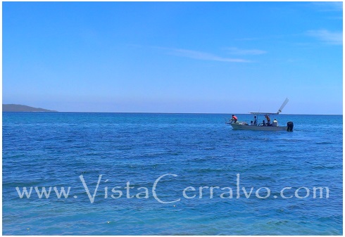Las Arenas Fish Report, Panga making bait south of  La Paz in Baja Mexico